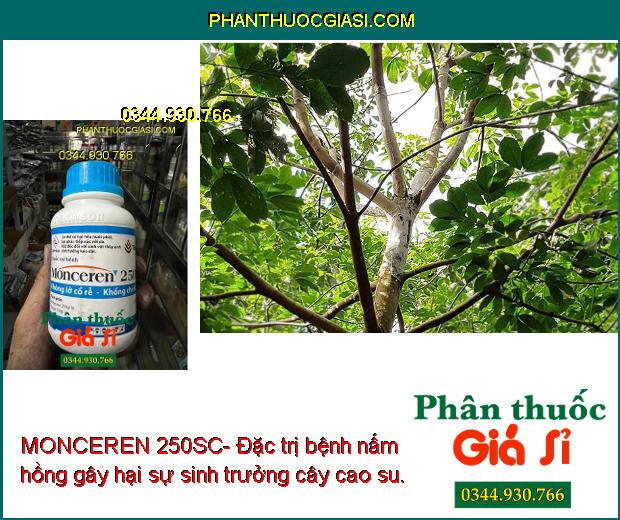 MONCEREN 250SC- Đặc Trị Lỡ Cổ Rễ - Khô Vằn