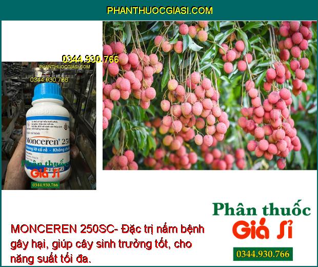 MONCEREN 250SC- Đặc Trị Lỡ Cổ Rễ - Khô Vằn