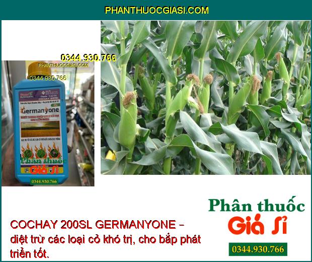 COCHAY 200SL GERMANYONE –Diệt Trừ Hầu Hết Các Loại Cỏ