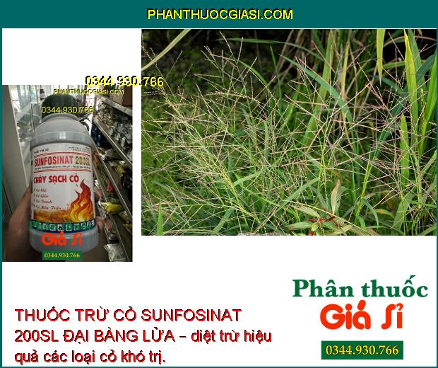 THUỐC TRỪ CỎ SUNFOSINAT 200SL ĐẠI BÀNG LỬA – Đặc Trị Cỏ Hòa Bản - Cỏ Lá Rộng - Cỏ Cói - Cỏ Lác