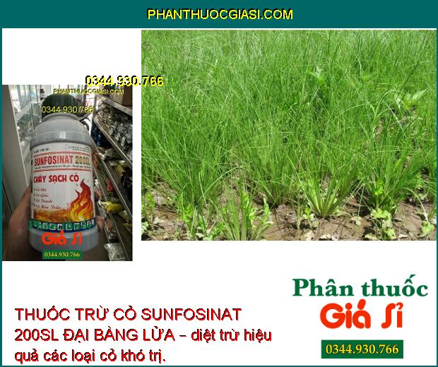 THUỐC TRỪ CỎ SUNFOSINAT 200SL ĐẠI BÀNG LỬA – Đặc Trị Cỏ Hòa Bản - Cỏ Lá Rộng - Cỏ Cói - Cỏ Lác