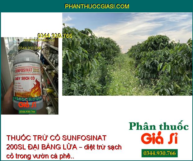 THUỐC TRỪ CỎ SUNFOSINAT 200SL ĐẠI BÀNG LỬA – Đặc Trị Cỏ Hòa Bản - Cỏ Lá Rộng - Cỏ Cói - Cỏ Lác