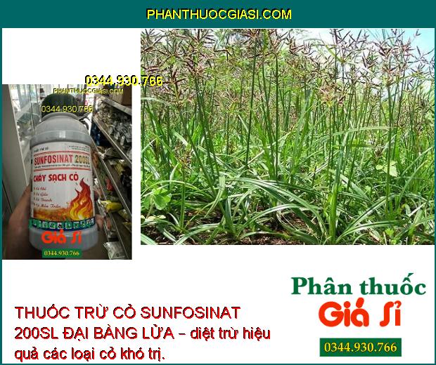 THUỐC TRỪ CỎ SUNFOSINAT 200SL ĐẠI BÀNG LỬA – Đặc Trị Cỏ Hòa Bản - Cỏ Lá Rộng - Cỏ Cói - Cỏ Lác