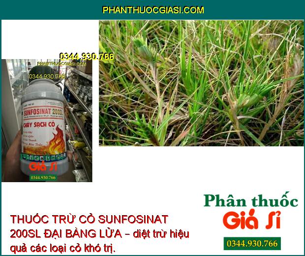 THUỐC TRỪ CỎ SUNFOSINAT 200SL ĐẠI BÀNG LỬA – Đặc Trị Cỏ Hòa Bản - Cỏ Lá Rộng - Cỏ Cói - Cỏ Lác