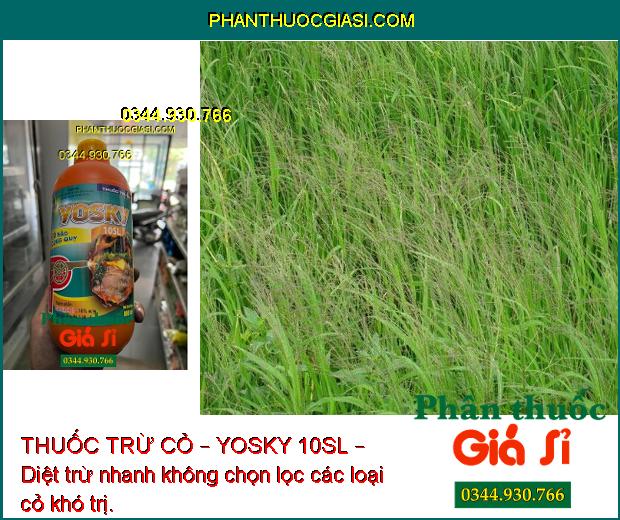 THUỐC TRỪ CỎ – YOSKY 10SL – DIỆT TRỪ CÁC LOẠI CỎ KHÓ TRỊ 