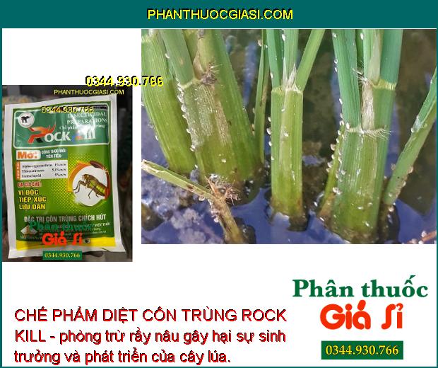 CHẾ PHẨM DIỆT CÔN TRÙNG ROCK KILL- Đặc Trị Côn Trùng Chích Hút - Nhện Đỏ - Bọ Trĩ - Rầy Nâu