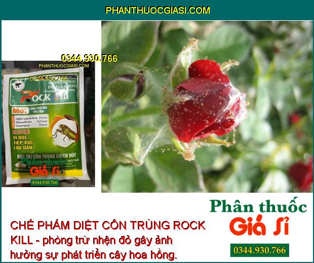 CHẾ PHẨM DIỆT CÔN TRÙNG ROCK KILL- Đặc Trị Côn Trùng Chích Hút - Nhện Đỏ - Bọ Trĩ - Rầy Nâu