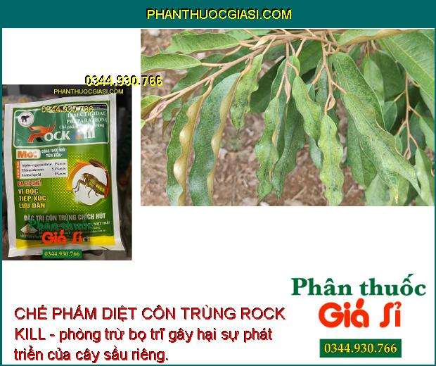 CHẾ PHẨM DIỆT CÔN TRÙNG ROCK KILL- Đặc Trị Côn Trùng Chích Hút - Nhện Đỏ - Bọ Trĩ - Rầy Nâu