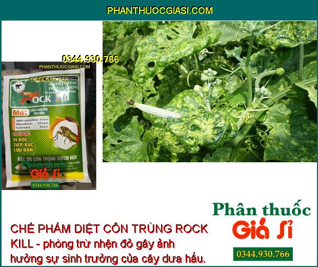 CHẾ PHẨM DIỆT CÔN TRÙNG ROCK KILL- Đặc Trị Côn Trùng Chích Hút - Nhện Đỏ - Bọ Trĩ - Rầy Nâu