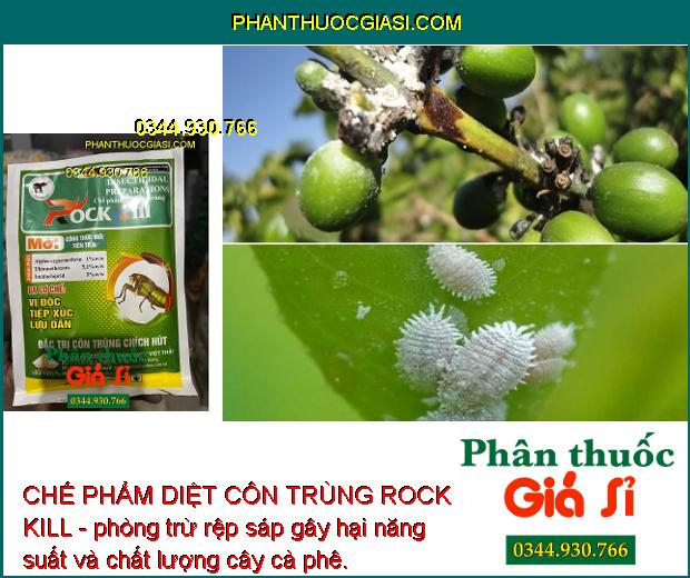 CHẾ PHẨM DIỆT CÔN TRÙNG ROCK KILL- Đặc Trị Côn Trùng Chích Hút - Nhện Đỏ - Bọ Trĩ - Rầy Nâu