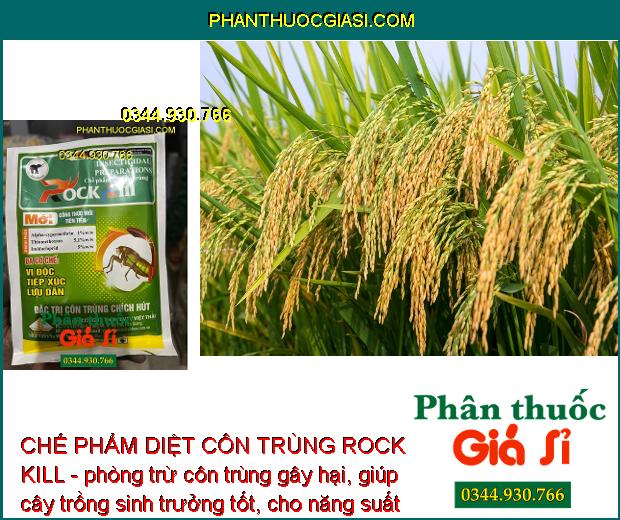 CHẾ PHẨM DIỆT CÔN TRÙNG ROCK KILL- Đặc Trị Côn Trùng Chích Hút - Nhện Đỏ - Bọ Trĩ - Rầy Nâu