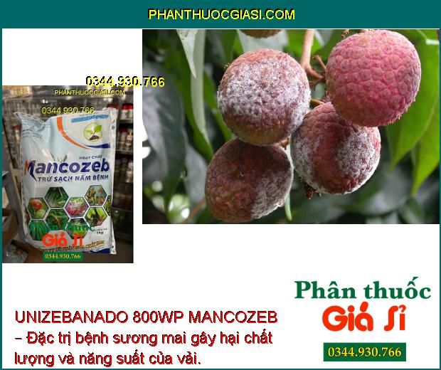 UNIZEBANADO 800WP MANCOZEB – Đặc Trị Nấm Bệnh - Sương Mai Gây Hại Cà Chua