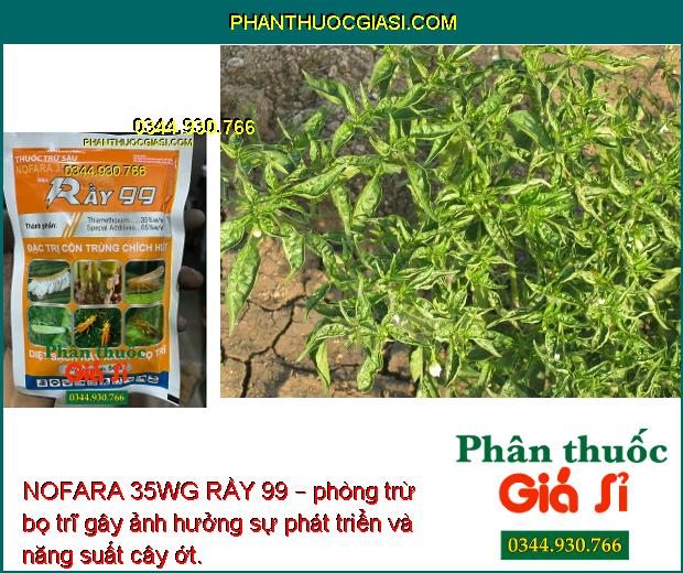 NOFARA 35WG RẦY 99 – Đặc Trị Rầy Nâu - Bọ Trĩ - Côn Trùng Chích Hút Khác