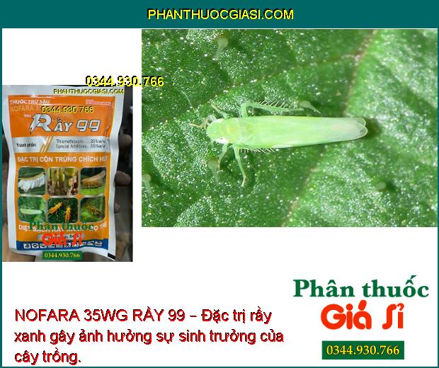 NOFARA 35WG RẦY 99 – Đặc Trị Rầy Nâu - Bọ Trĩ - Côn Trùng Chích Hút Khác