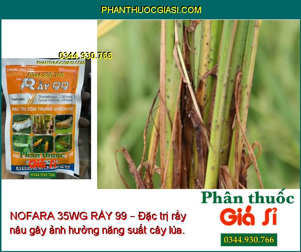 NOFARA 35WG RẦY 99 – Đặc Trị Rầy Nâu - Bọ Trĩ - Côn Trùng Chích Hút Khác