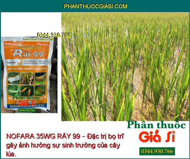 NOFARA 35WG RẦY 99 – Đặc Trị Rầy Nâu - Bọ Trĩ - Côn Trùng Chích Hút Khác