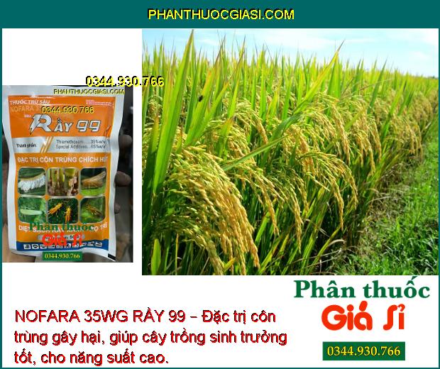 NOFARA 35WG RẦY 99 – Đặc Trị Rầy Nâu - Bọ Trĩ - Côn Trùng Chích Hút Khác