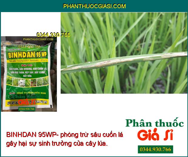 BINHDAN 95WP- Đặc Trị Sâu Đục Thân - Sâu Khoang - Rệp Sáp