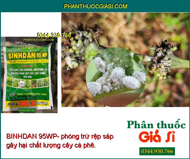 BINHDAN 95WP- Đặc Trị Sâu Đục Thân - Sâu Khoang - Rệp Sáp