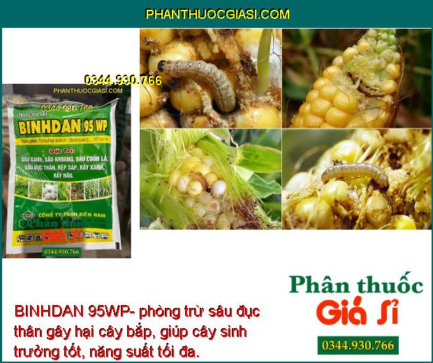 BINHDAN 95WP- Đặc Trị Sâu Đục Thân - Sâu Khoang - Rệp Sáp