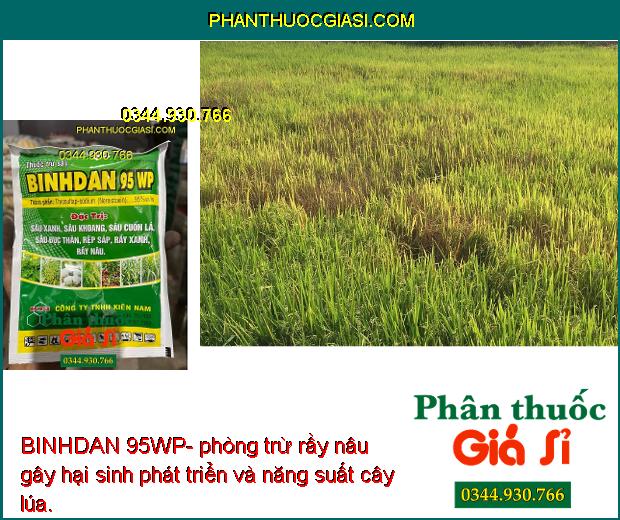 BINHDAN 95WP- Đặc Trị Sâu Đục Thân - Sâu Khoang - Rệp Sáp