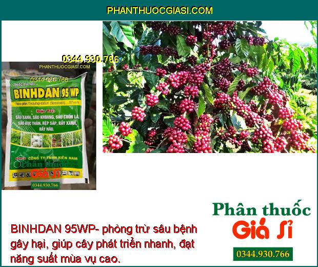 BINHDAN 95WP- Đặc Trị Sâu Đục Thân - Sâu Khoang - Rệp Sáp