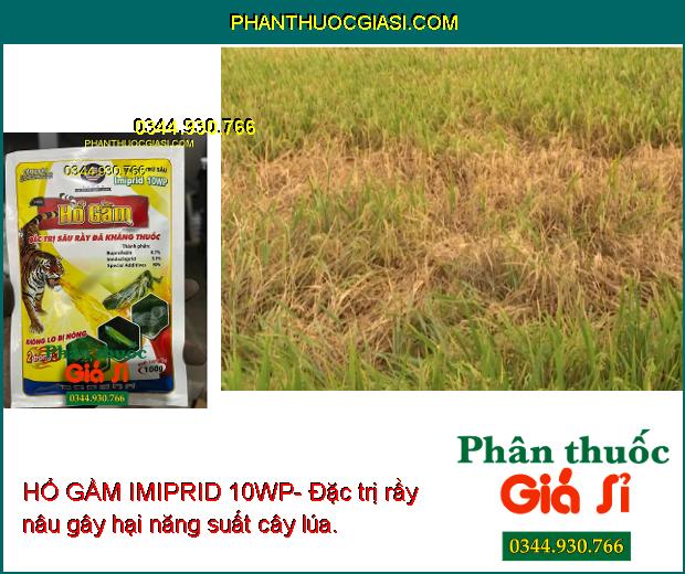 HỔ GẦM IMIPRID 10WP- Đặc Trị Rầy Sâu Kháng Thuốc