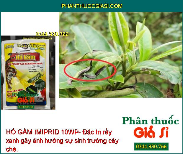 HỔ GẦM IMIPRID 10WP- Đặc Trị Rầy Sâu Kháng Thuốc