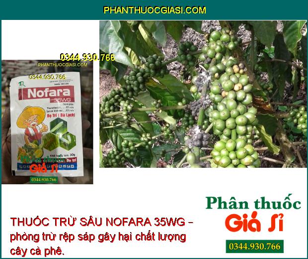 THUỐC TRỪ SÂU NOFARA 35WG – Đặc Trị Bọ Trĩ - Rầy Nâu Hại Lúa 