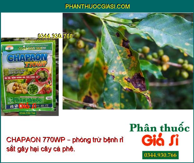 CHAPAON 770WP – Đặc Trị Sương Mai - Mốc Sương - Thán Thư