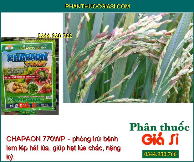 CHAPAON 770WP – Đặc Trị Sương Mai - Mốc Sương - Thán Thư