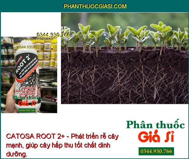 CATOSA ROOT 2+ - Phát Triển Rễ Mạnh -  Giải Độc Hữu Cơ - Hạn Chế Tuyến Trùng