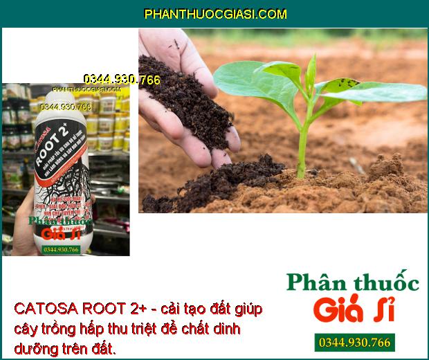 CATOSA ROOT 2+ - Phát Triển Rễ Mạnh -  Giải Độc Hữu Cơ - Hạn Chế Tuyến Trùng