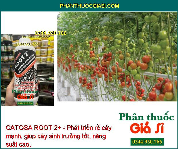 CATOSA ROOT 2+ - Phát Triển Rễ Mạnh -  Giải Độc Hữu Cơ - Hạn Chế Tuyến Trùng