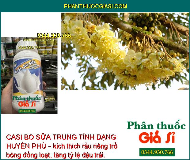 CASI BO SỮA TRUNG TÍNH DẠNG HUYỀN PHÙ – Chống Rụng Bông - Trái Non - Chống Nứt Trái - Thối Trái