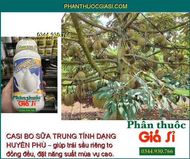 CASI BO SỮA TRUNG TÍNH DẠNG HUYỀN PHÙ – Chống Rụng Bông - Trái Non - Chống Nứt Trái - Thối Trái