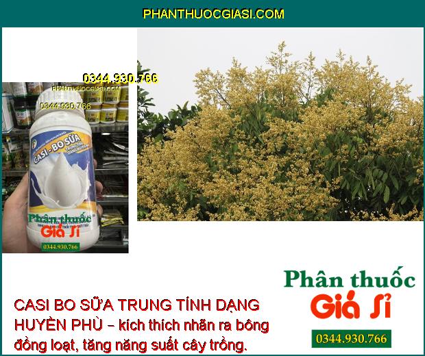 CASI BO SỮA TRUNG TÍNH DẠNG HUYỀN PHÙ – Chống Rụng Bông - Trái Non - Chống Nứt Trái - Thối Trái