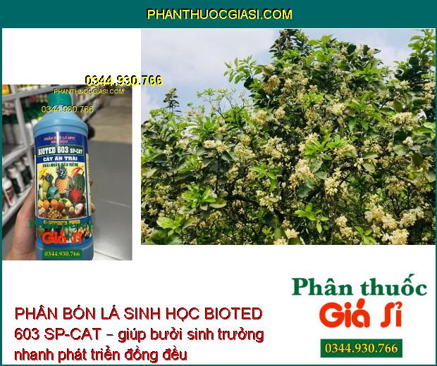 PHÂN BÓN LÁ SINH HỌC BIOTED 603 SP-CAT – Sinh Trưởng Nhanh - Trổ Bông Đều - Đậu Trái Cao