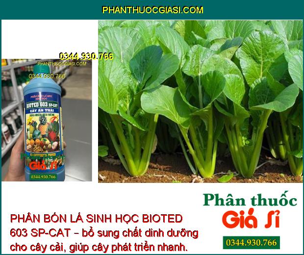 PHÂN BÓN LÁ SINH HỌC BIOTED 603 SP-CAT – Sinh Trưởng Nhanh - Trổ Bông Đều - Đậu Trái Cao