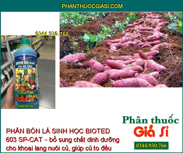 PHÂN BÓN LÁ SINH HỌC BIOTED 603 SP-CAT – Sinh Trưởng Nhanh - Trổ Bông Đều - Đậu Trái Cao