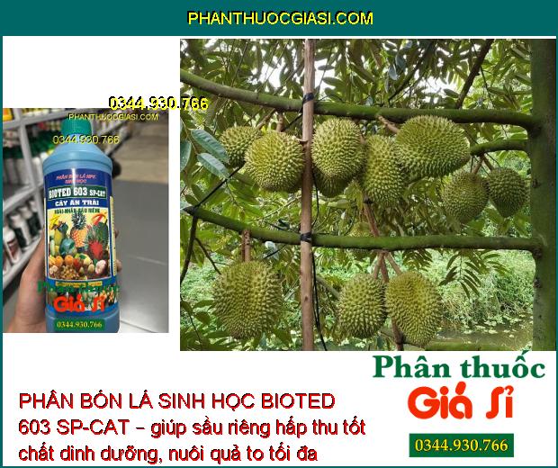 PHÂN BÓN LÁ SINH HỌC BIOTED 603 SP-CAT – Sinh Trưởng Nhanh - Trổ Bông Đều - Đậu Trái Cao