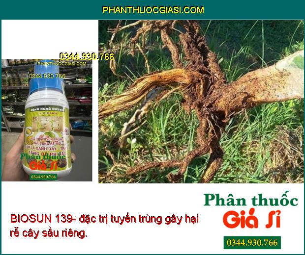 BIOSUN 139- phòng trừ nấm bệnh gây hại, giúp cây sinh trưởng tốt, cho năng suất vụ mùa cao.