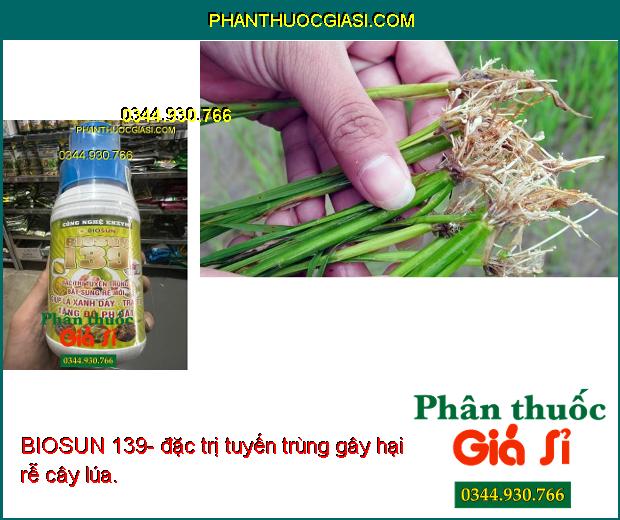 BIOSUN 139- phòng trừ nấm bệnh gây hại, giúp cây sinh trưởng tốt, cho năng suất vụ mùa cao.