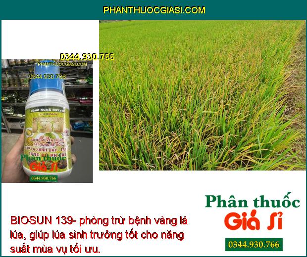 BIOSUN 139- phòng trừ nấm bệnh gây hại, giúp cây sinh trưởng tốt, cho năng suất vụ mùa cao.