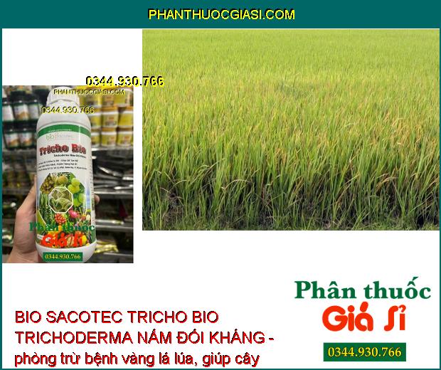 BIO SACOTEC TRICHO BIO TRICHODERMA NẤM ĐỐI KHÁNG - Cải Tạo Đất - Ngăn Ngừa Nấm Bệnh Và Tuyến Trùng Gây Hại