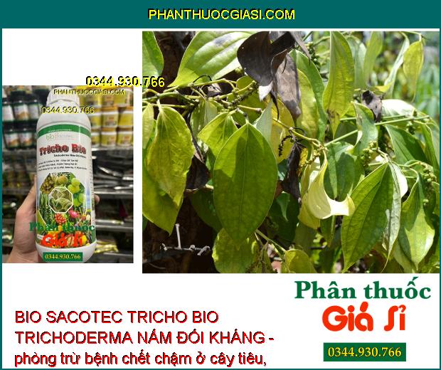 BIO SACOTEC TRICHO BIO TRICHODERMA NẤM ĐỐI KHÁNG - Cải Tạo Đất - Ngăn Ngừa Nấm Bệnh Và Tuyến Trùng Gây Hại