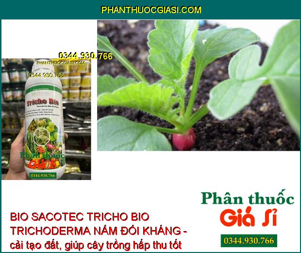 BIO SACOTEC TRICHO BIO TRICHODERMA NẤM ĐỐI KHÁNG - Cải Tạo Đất - Ngăn Ngừa Nấm Bệnh Và Tuyến Trùng Gây Hại