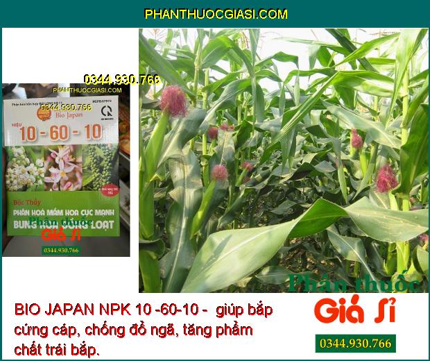 BIO JAPAN NPK 10 -60-10 - Ra Hoa Đồng Loạt - Tăng Đậu Trái