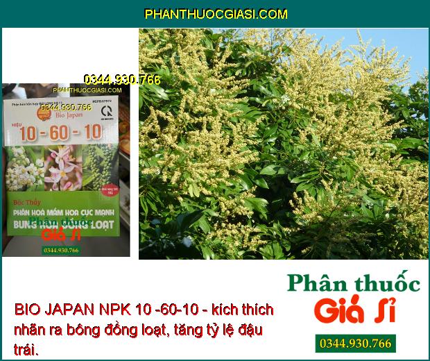 BIO JAPAN NPK 10 -60-10 - Ra Hoa Đồng Loạt - Tăng Đậu Trái