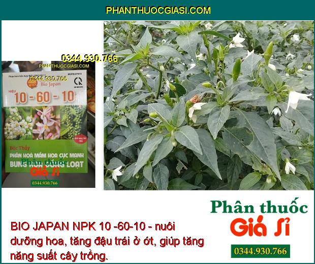 BIO JAPAN NPK 10 -60-10 - Ra Hoa Đồng Loạt - Tăng Đậu Trái